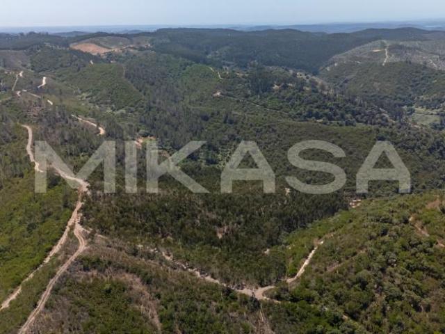 Monchique Algarve 103922307