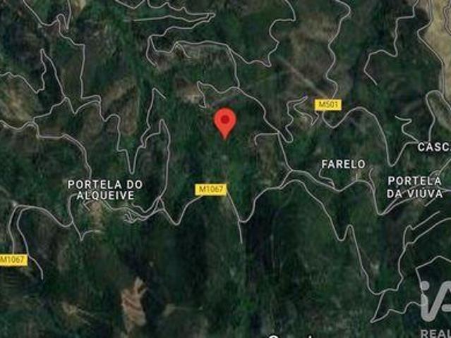 Monchique Faro 103344250