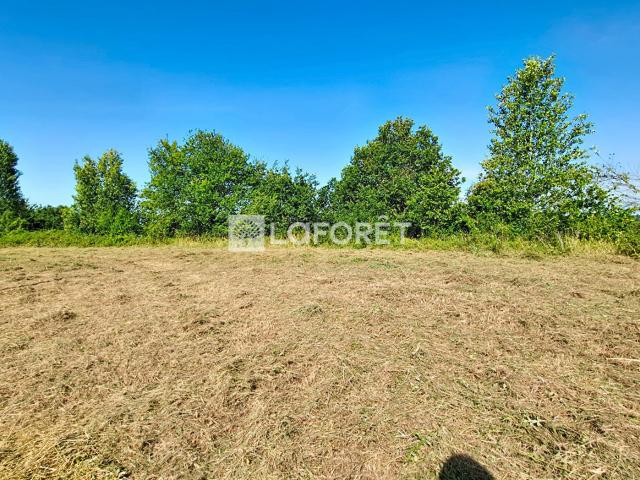 Monclar de Quercy Vente Terrain 82