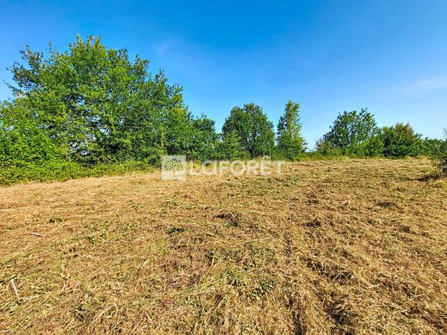 Monclar de Quercy Vente Terrain 82
