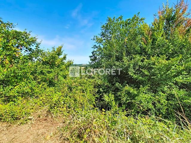 Monclar de Quercy Vente Terrain 82
