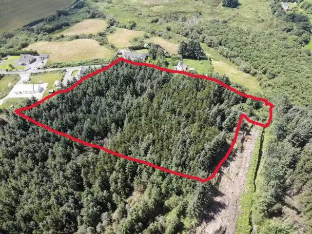 Moneyreague, Dunmanway, Dunmanway, Co. Cork, P47Y163 is for sale