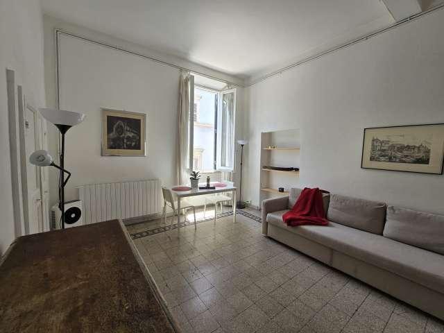 Monolocale a Trastevere