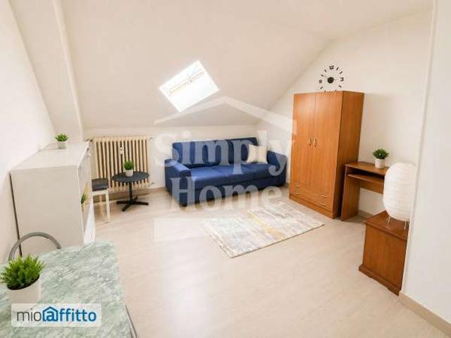 Monolocale arredato Mirafiori sud