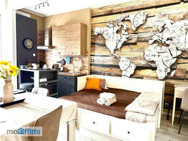 Monolocale arredato Mirafiori sud