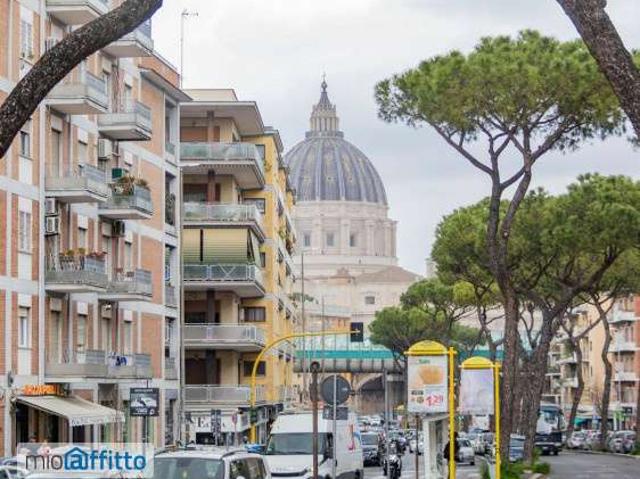 Monolocale arredato Aurelio/gregorio vii/ubaldi/san pietro