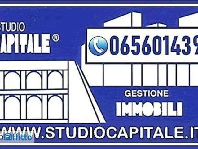 Monolocale arredato Acilia, vitinia, ostia antica, malafede, dragona delle borgate