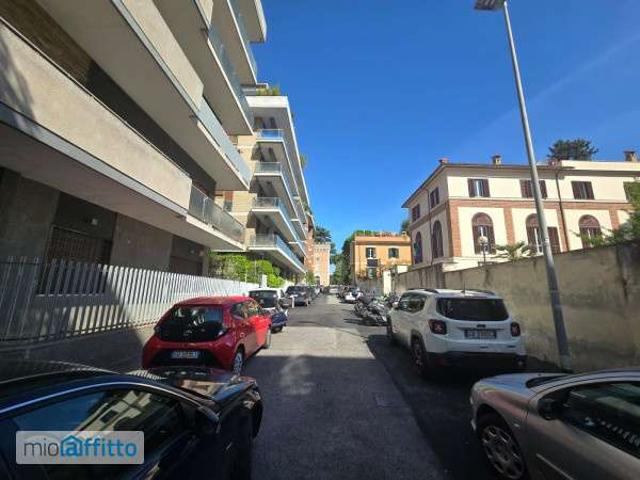 Monolocale arredato Bologna, nomentano