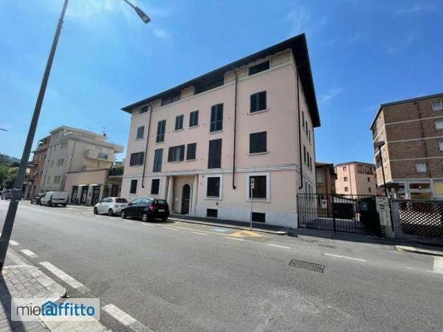 Monolocale arredato Borgo trento