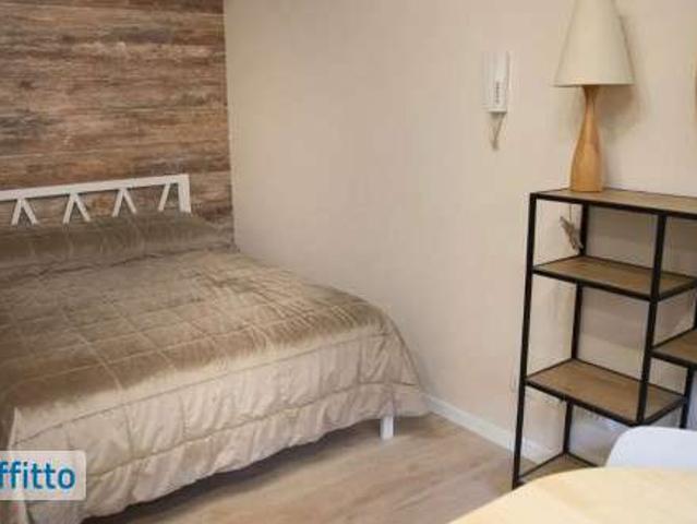Monolocale arredato con terrazzo Trieste, salario