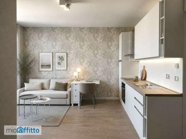 Monolocale arredato con terrazzo Bolognina