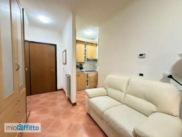 Monolocale arredato con terrazzo Borghesiana, finocchio, tor bella monaca, torre angela
