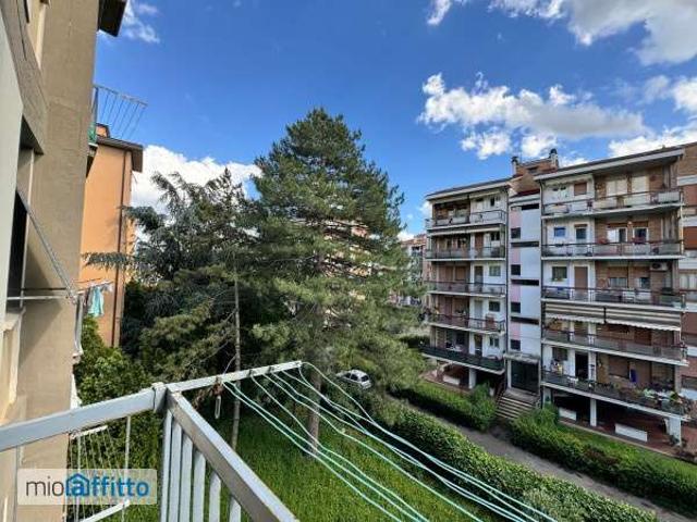Monolocale arredato con terrazzo Isolotto e legnaia