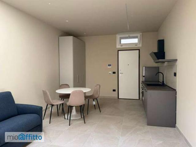 Monolocale arredato con terrazzo Parella