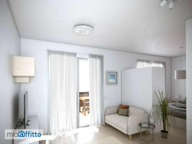 Monolocale arredato con terrazzo Portuense, magliana