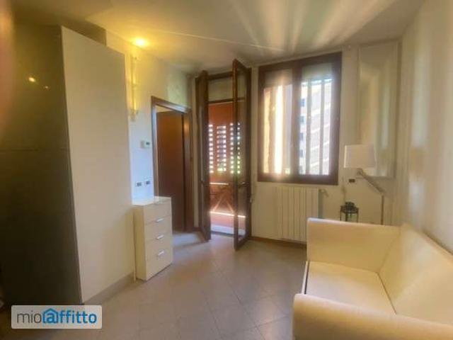 Monolocale arredato con terrazzo Santa viola
