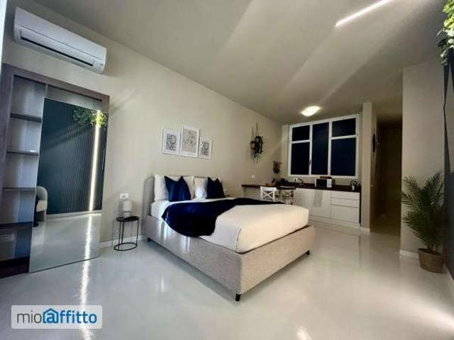 Monolocale arredato con terrazzo San salvario
