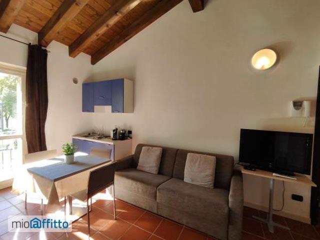 Monolocale arredato con piscina Asti