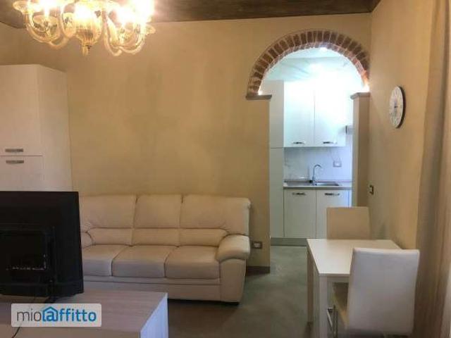 Monolocale arredato Cremona