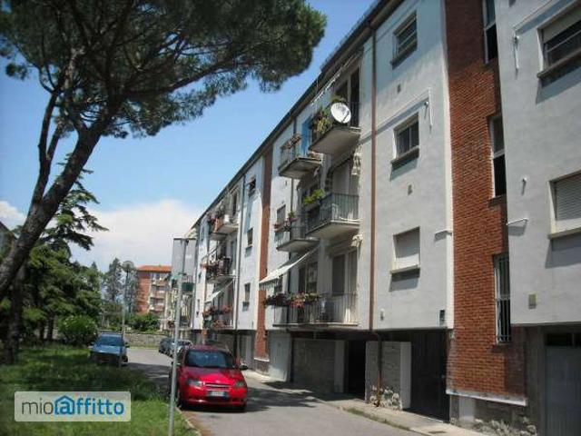 Monolocale arredato Pisa