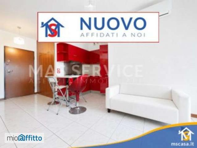 Monolocale arredato Pisana, bravetta, casetta mattei