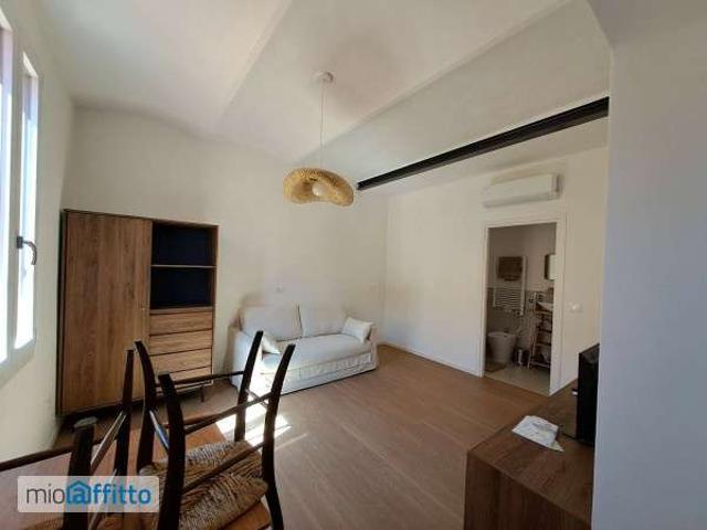 Monolocale arredato San donato