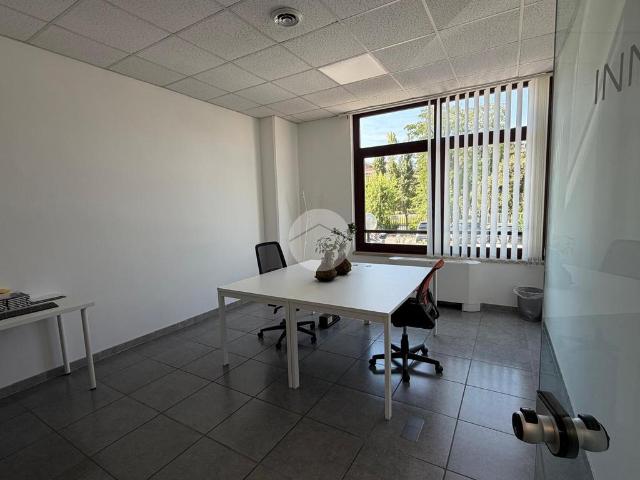 Monolocale in affitto