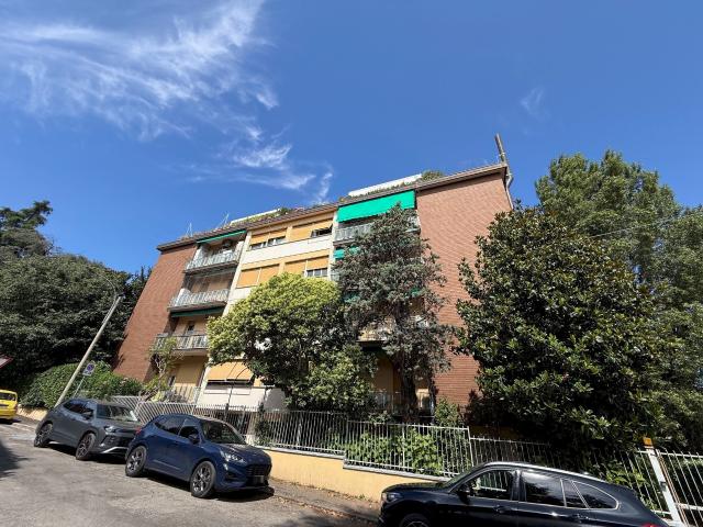 Monolocale in affitto a Bologna, case in affitto Bologna