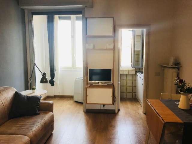 Monolocale in affitto a Calvairate, Milano