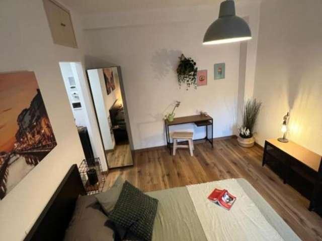 Monolocale in affitto a Calvairate, Milano