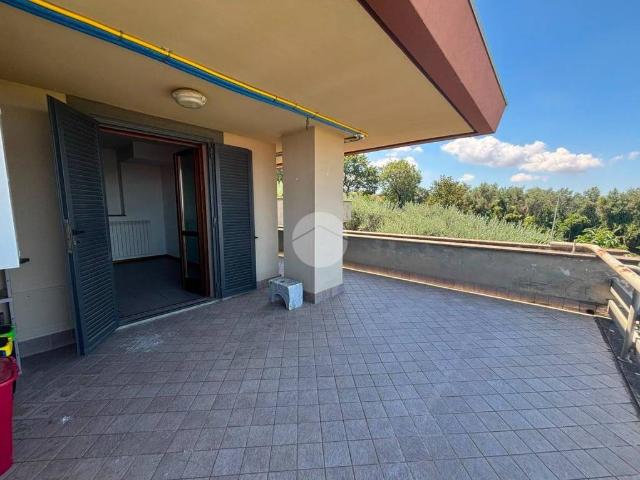 Monolocale in affitto a Frascati via dei salè, 34