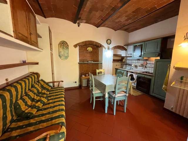 Monolocale in affitto a Greve in Chianti