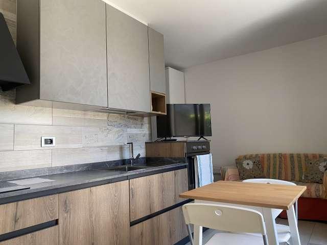 Monolocale in affitto a Impruneta, Firenze