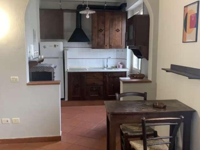 Monolocale in affitto a Isolotto Cintoia, Firenze