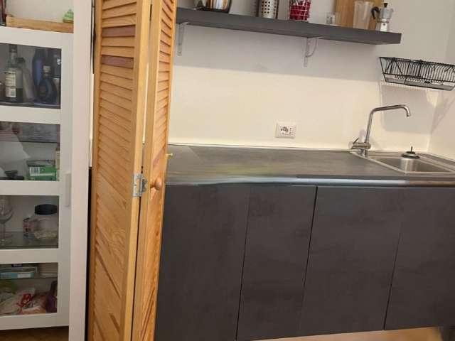 Monolocale in affitto a Milano