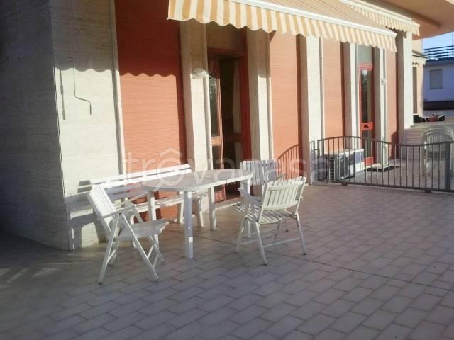 Monolocale in affitto a Pisa viale del Tirreno, Tirrenia