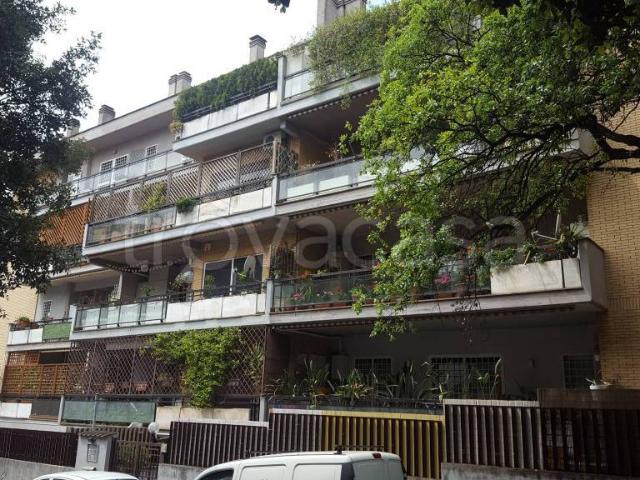 Monolocale in affitto a Roma via Courmayeur, 34, Cortina d'Ampezzo