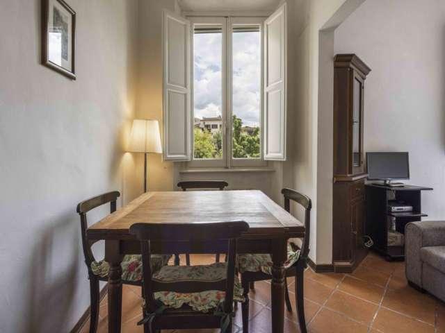 Monolocale in affitto a Santa Croce, Firenze