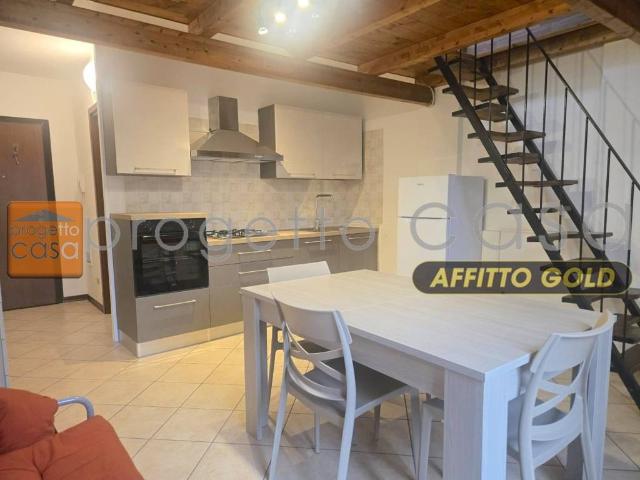 Monolocale in affitto a Spilamberto