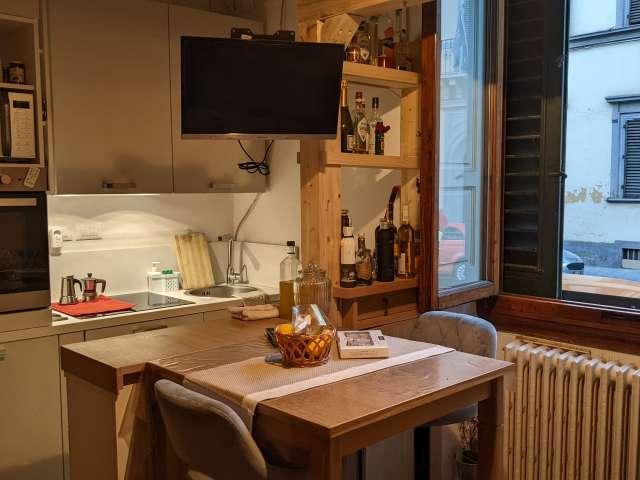 Monolocale in affitto a Statuto, Firenze