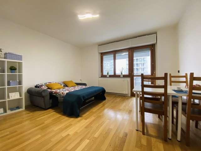 Monolocale in affitto ad Adriano, Milano