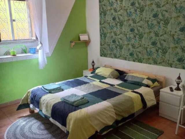 Monolocale in affitto ad Appio Latino, Roma