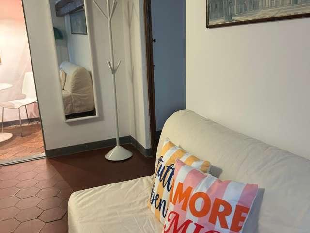 Monolocale in affitto in Oltrarno San Frediano, Firenze