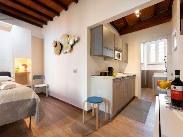 Monolocale in affitto, Oltrarno San Frediano, Firenze