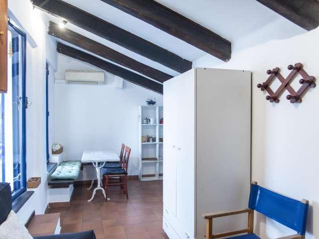 Monolocale in affitto nel Rione Prati, Roma