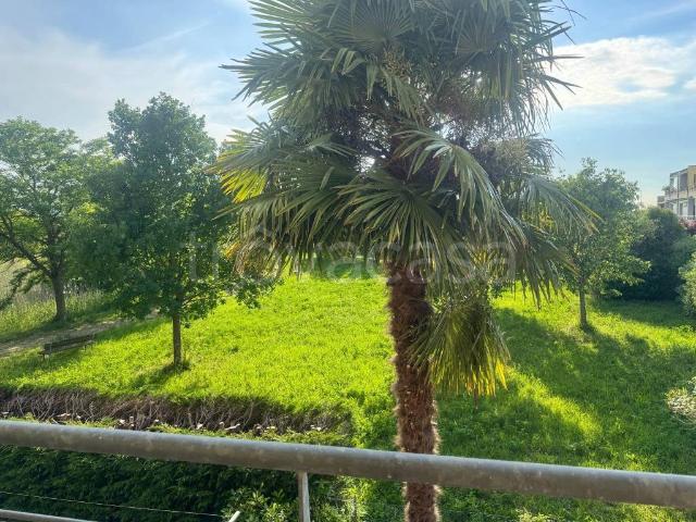 Monolocale in vendita a Ravenna via del Giaggiolo, 8, Casalborsetti