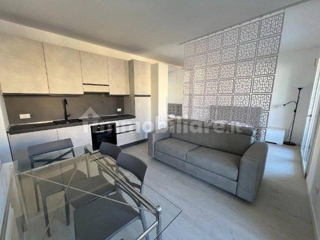 Monolocale via Amilcare Ponchielli 20, Borgo Palazzo, Bergamo