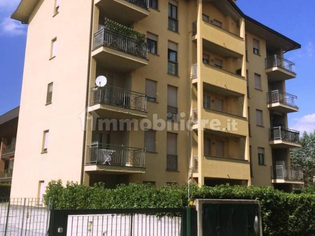 Monolocale via Fratelli Vigorelli 1, Sciarè, Gallarate