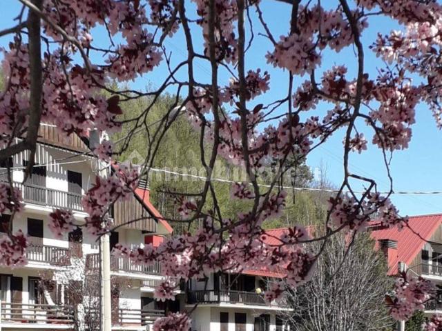 Monolocale via Susa 13, Centro, Bardonecchia