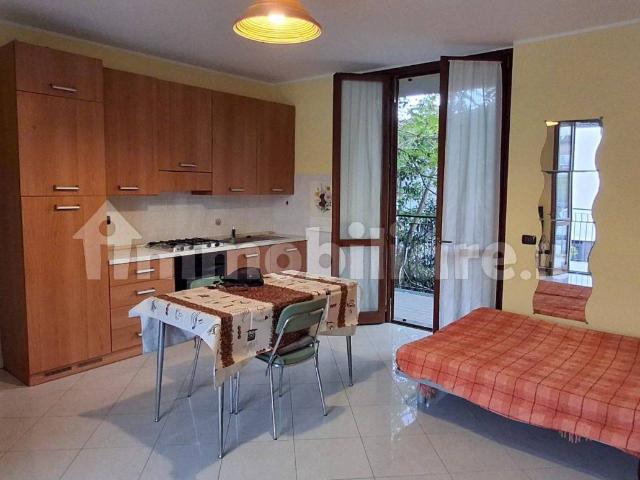 Monolocale viale Assunta 44, Centro, Cernusco sul Naviglio